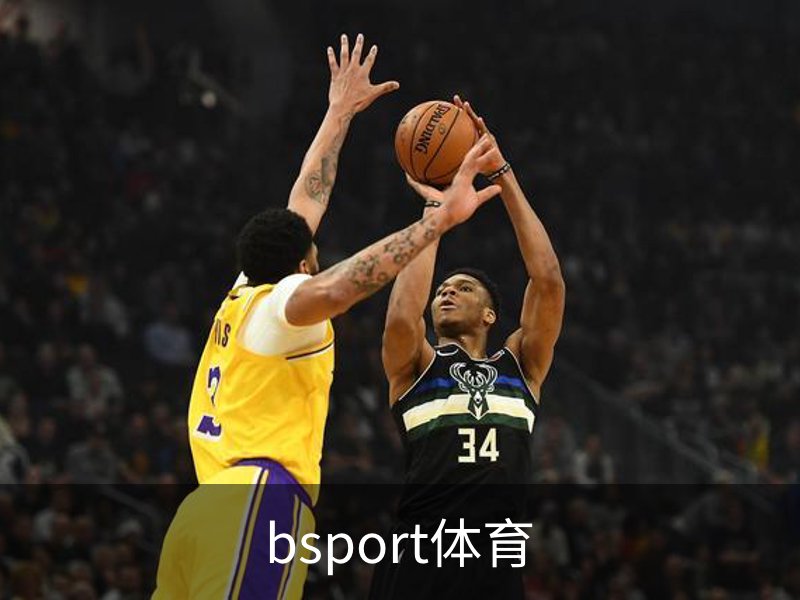 bsport体育介绍